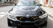 bmw pegasus7.jpg